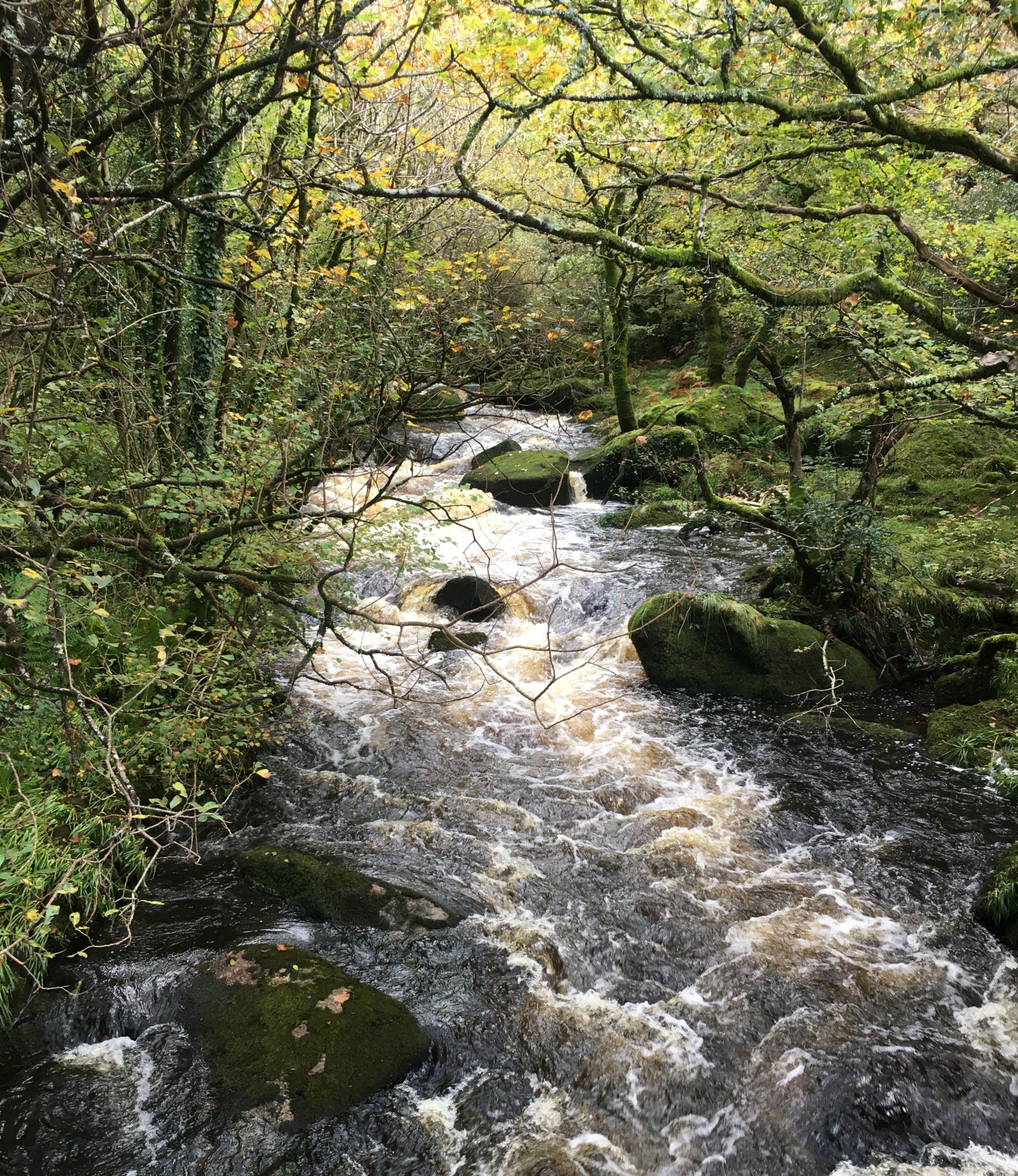 De Lank River